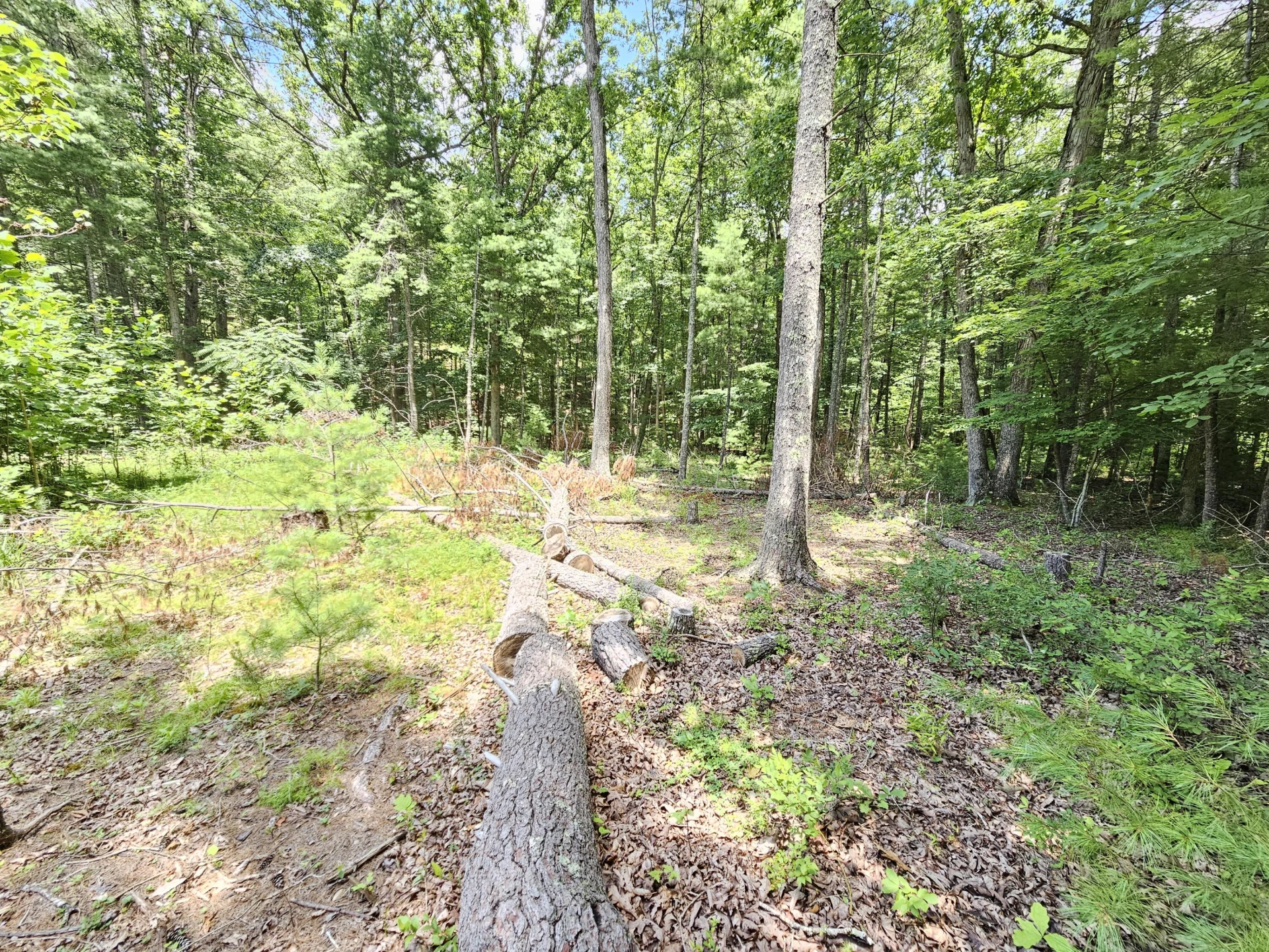 0 Hoot Owl RD - Photo 8