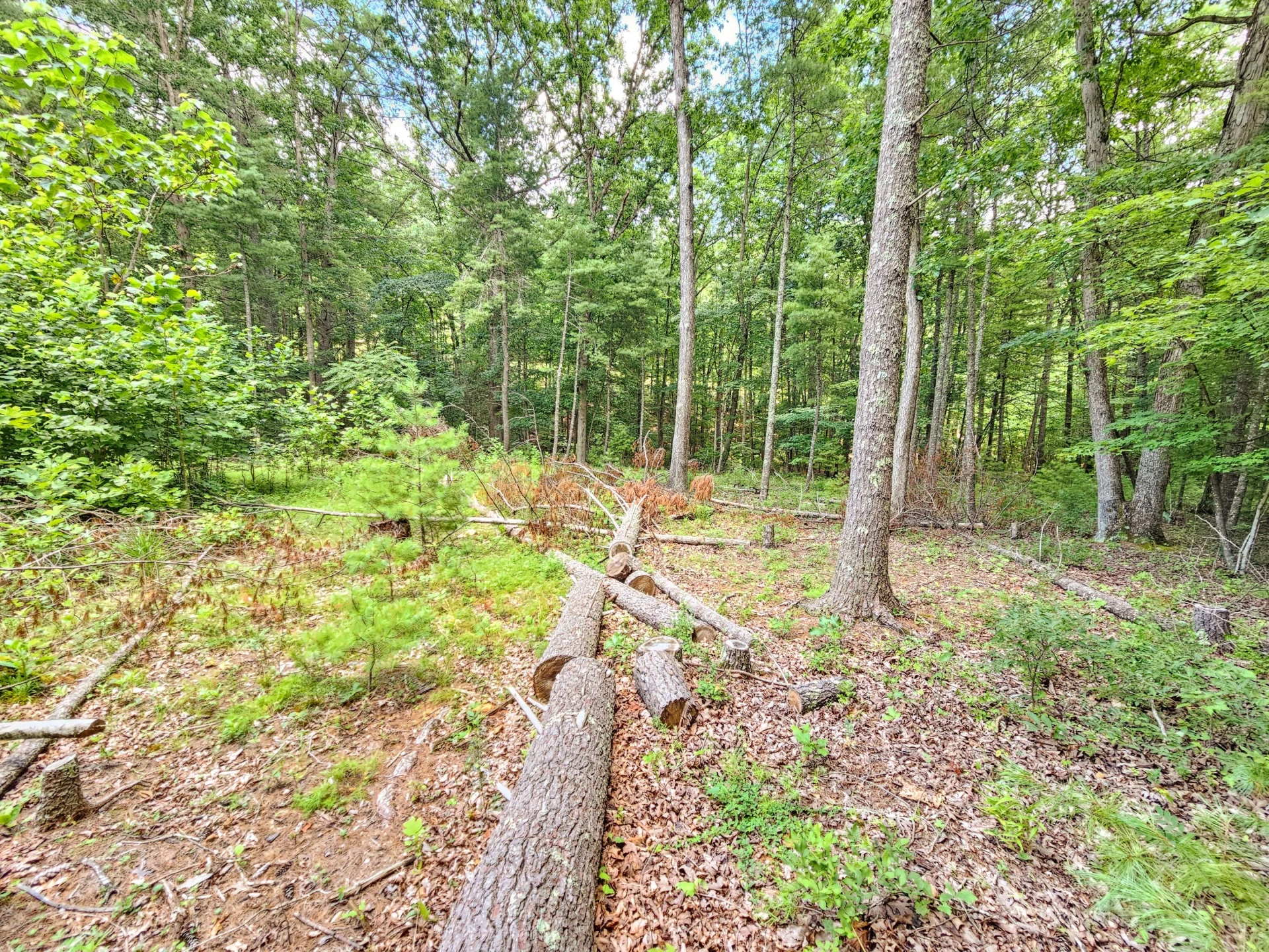 0 Hoot Owl RD - Photo 9