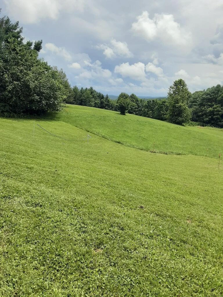 1807 Moore RD - Photo 4