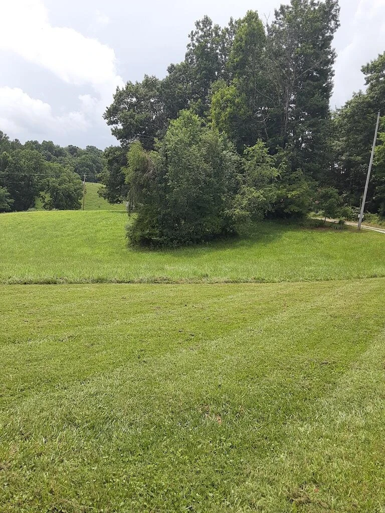 1807 Moore RD - Photo 5