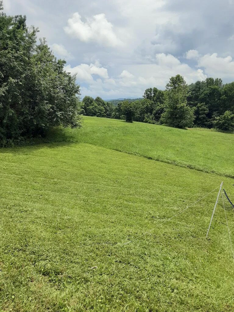 1807 Moore RD - Photo 6