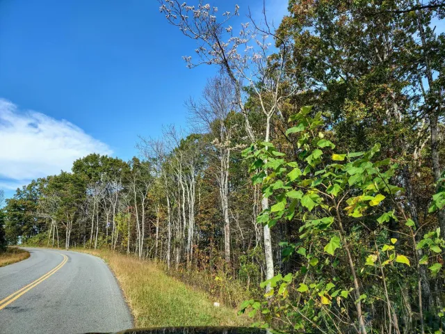 Tract 8 Three Oaks RD, Wirtz, VA, 24184