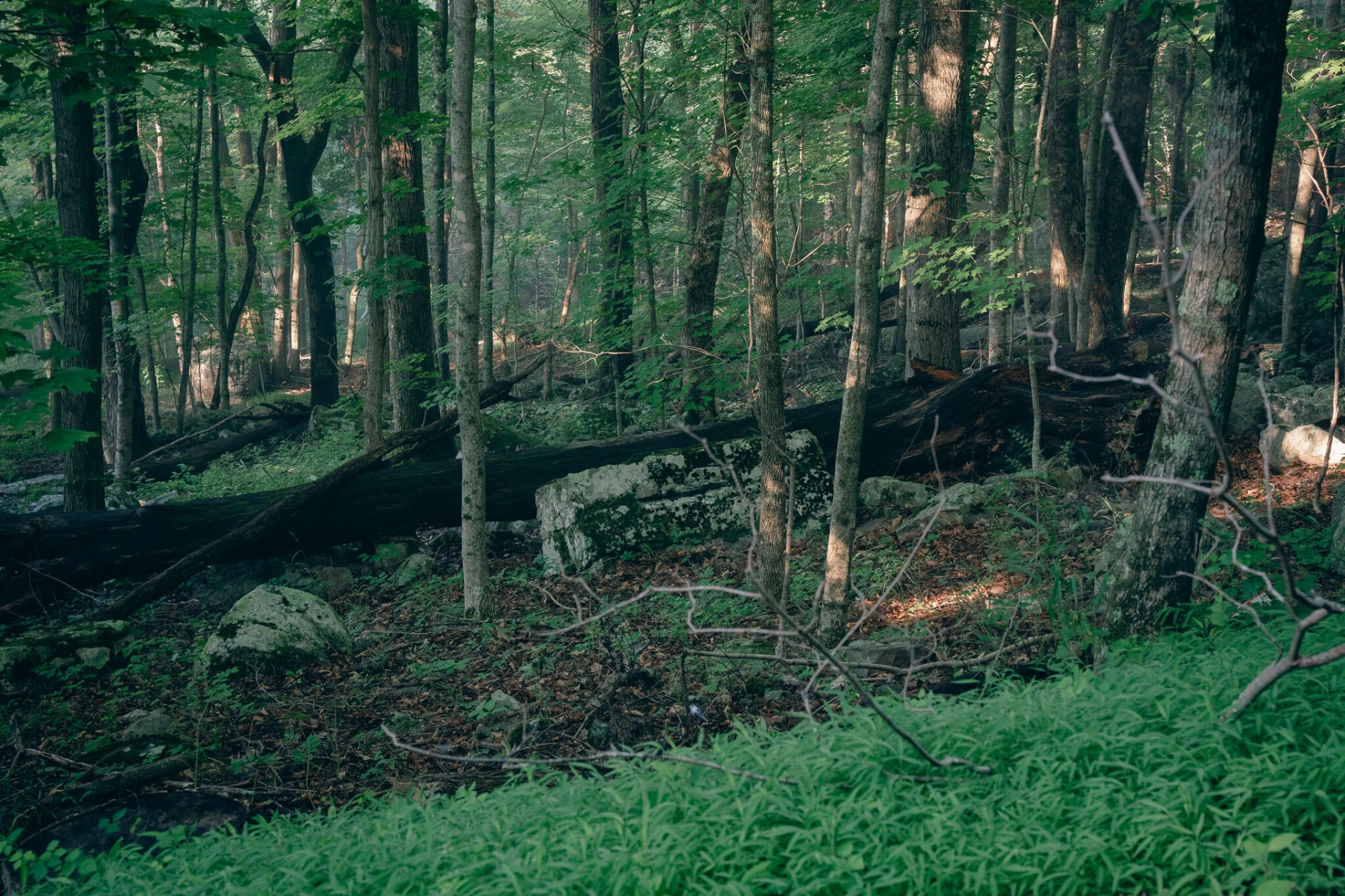 0 Mountain Lake RD - Photo 8