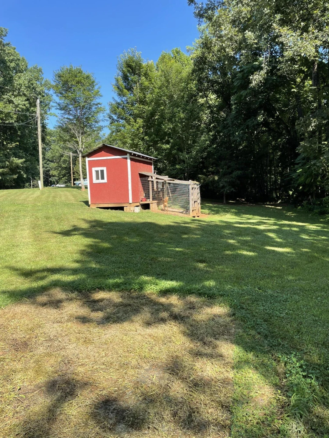 1203 Bruno DR - Photo 32