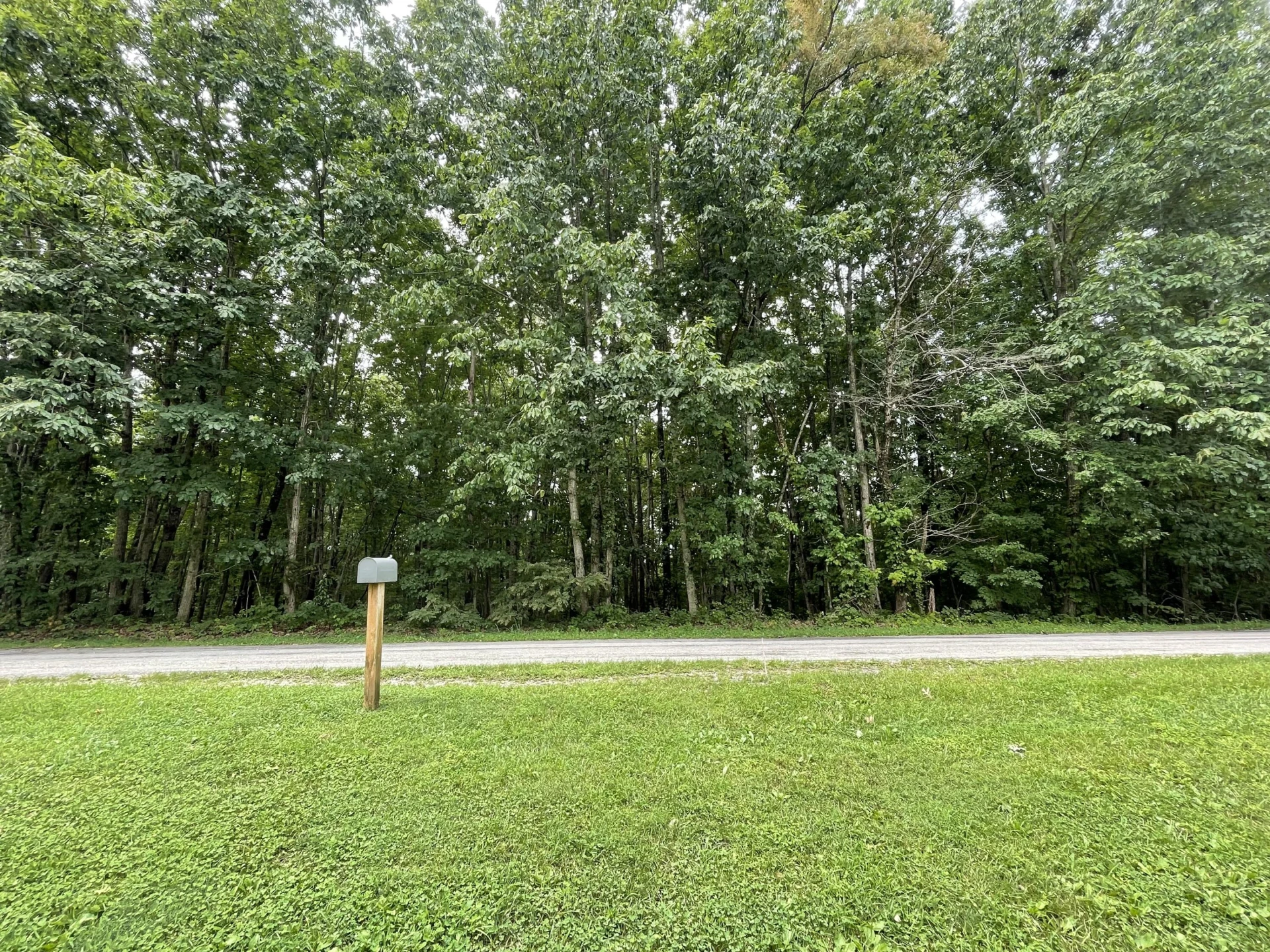1203 Bruno DR - Photo 34
