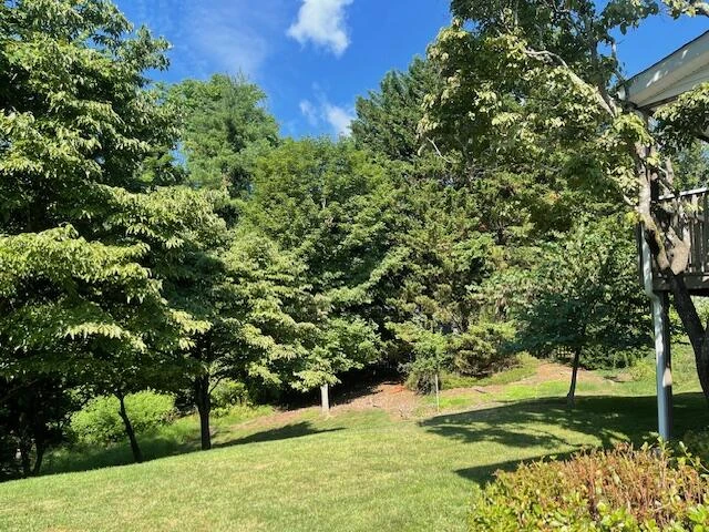 4212 Woodridge DR - Photo 58