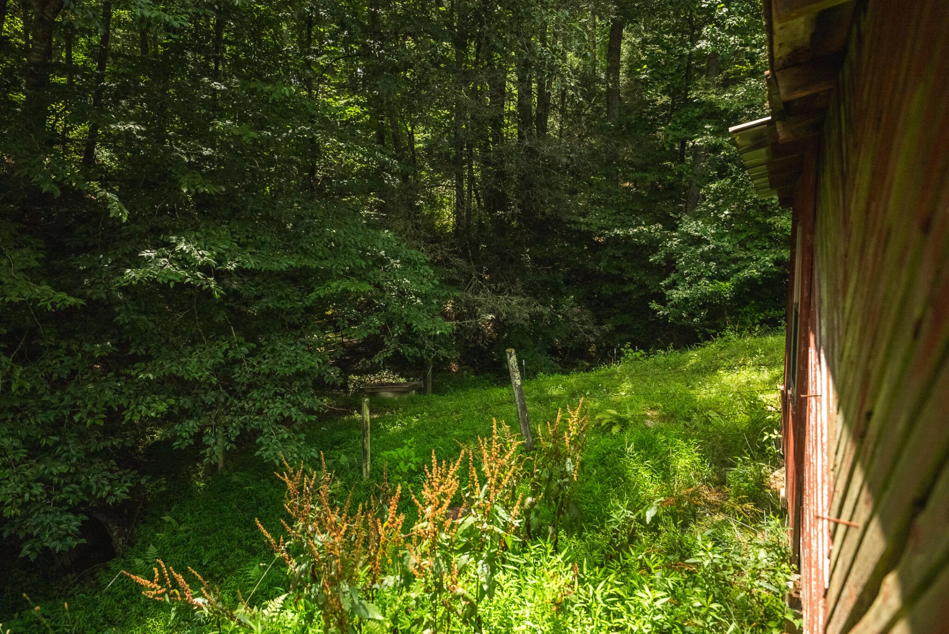4752 Webbs Mill RD - Photo 42