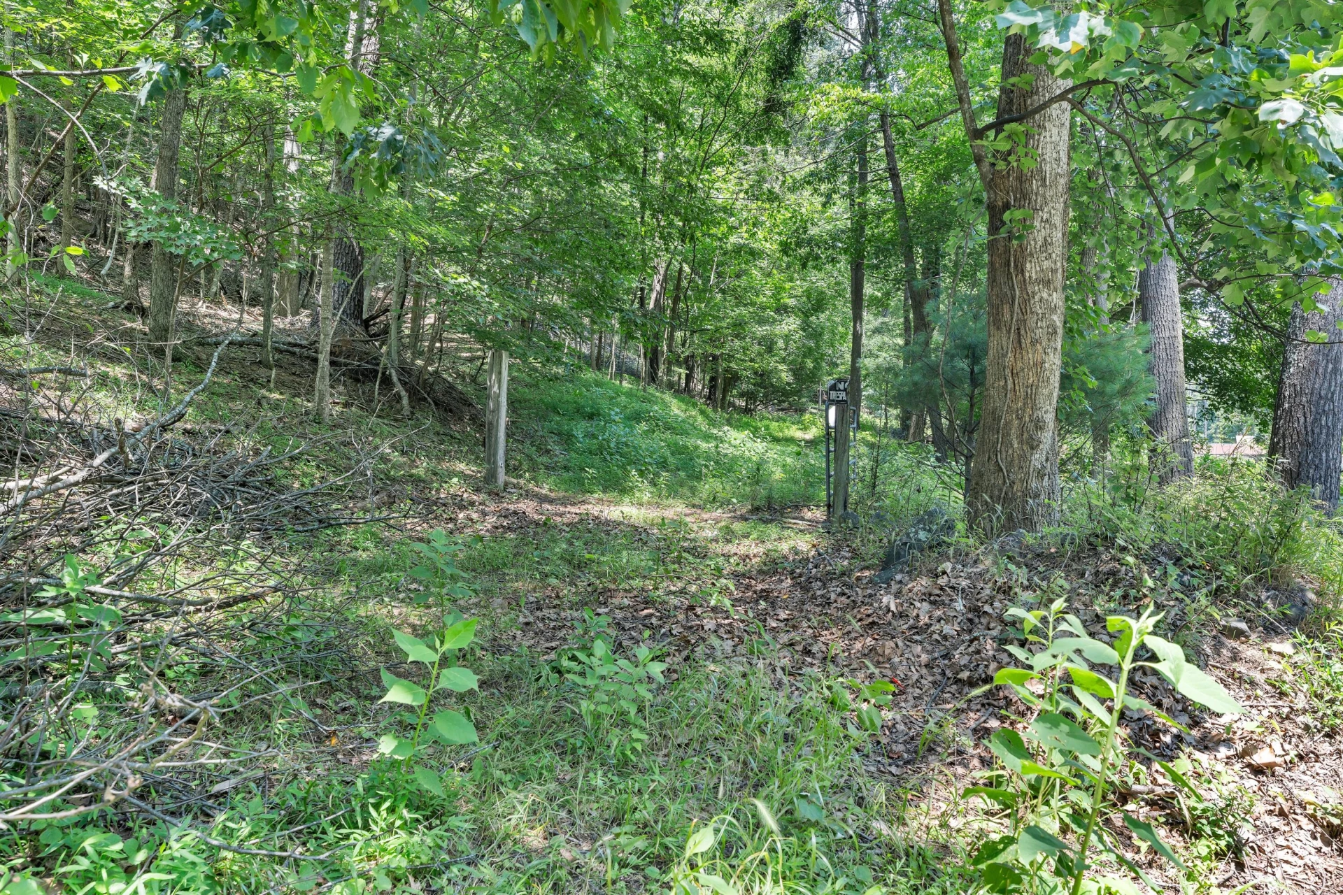 6133 Poor Mountain RD - Photo 4