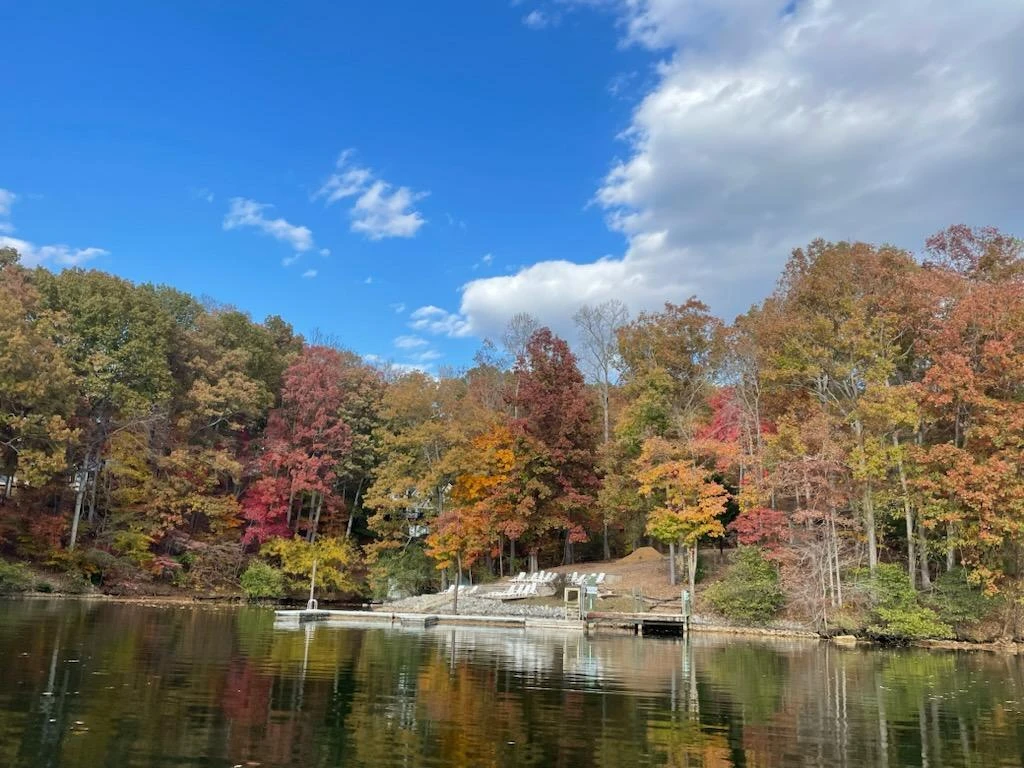 Lot 4 Charmwood CIR - Photo 16