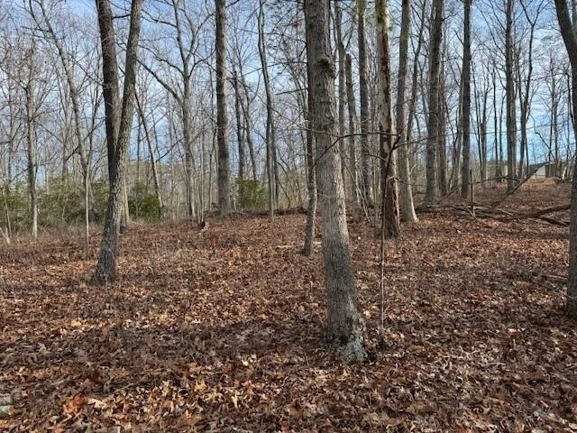 Lot 37 Chestnut DR