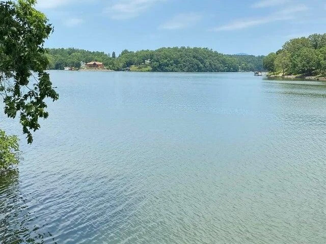 Lot 37 Chestnut DR - Photo 4
