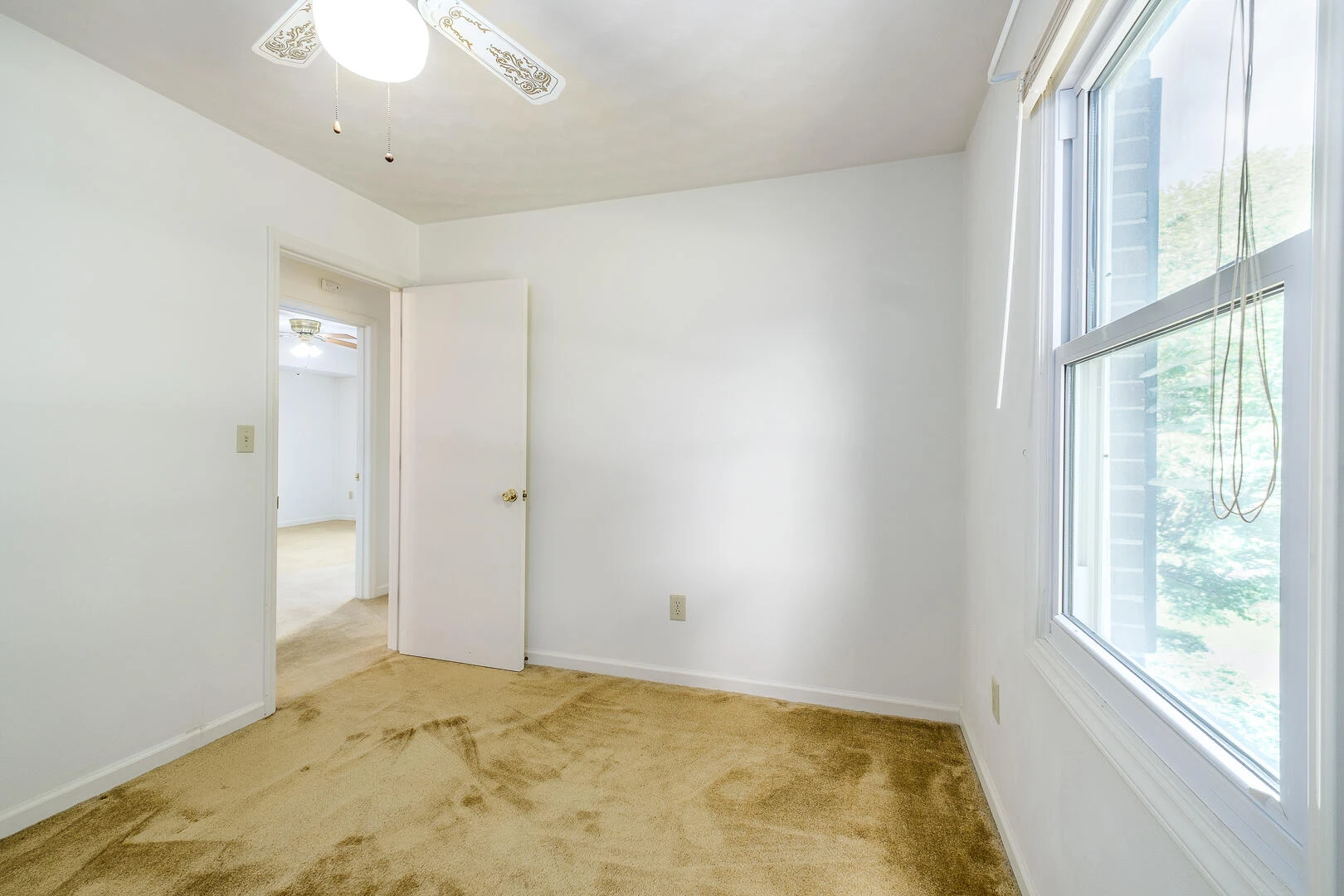 5204 Britaney RD - Photo 30