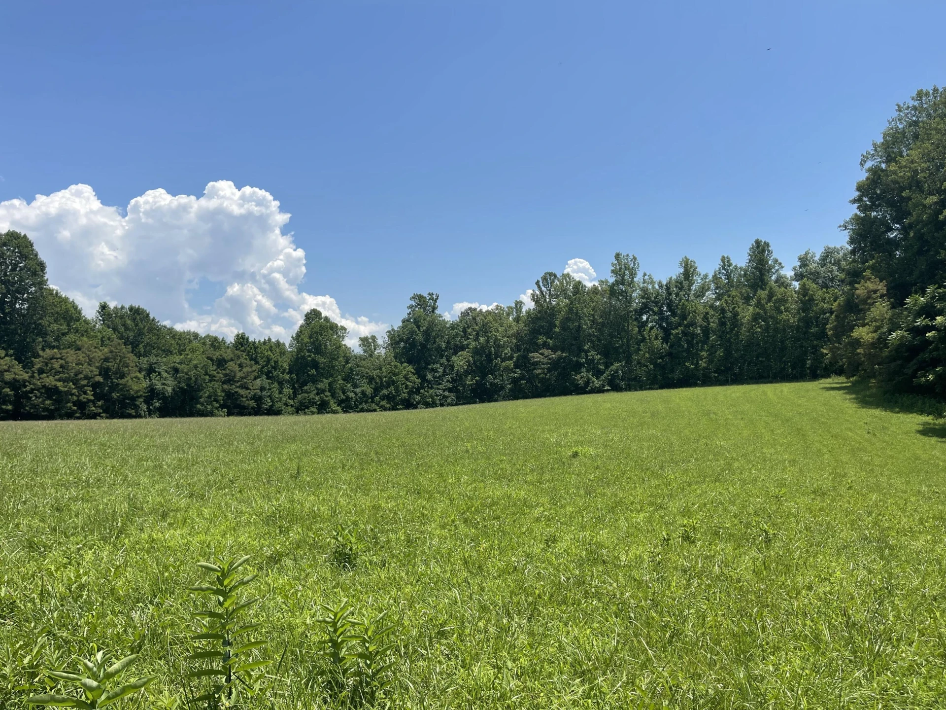 0 Forbes Mill RD - Photo 11