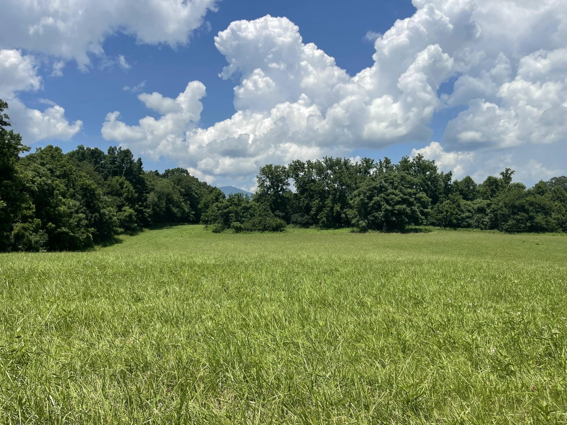 0 Forbes Mill RD - Photo 12