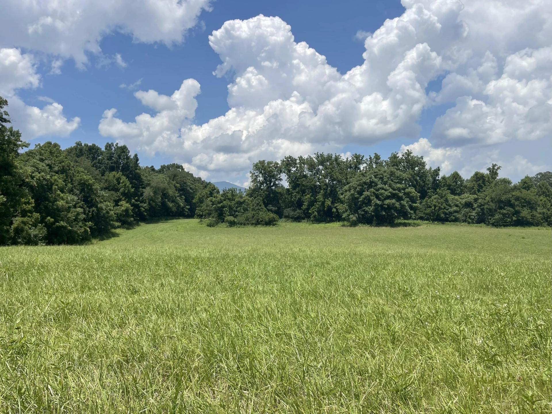 0 Forbes Mill RD - Photo 13