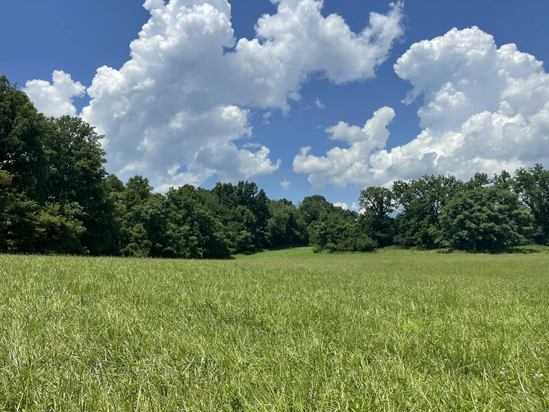 0 Forbes Mill RD - Photo 14