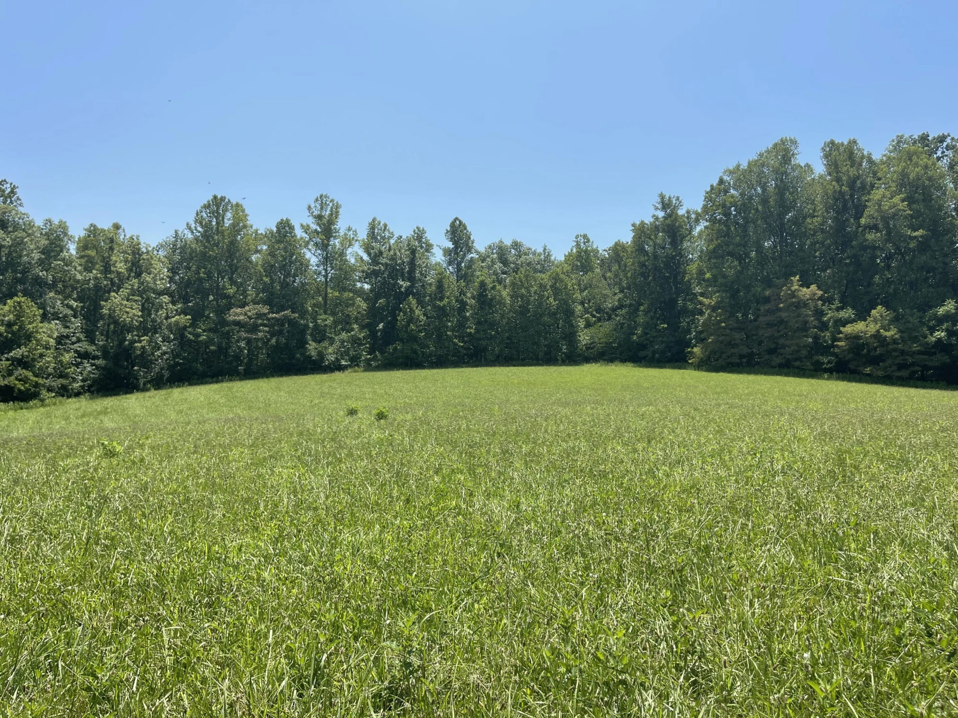 0 Forbes Mill RD - Photo 15