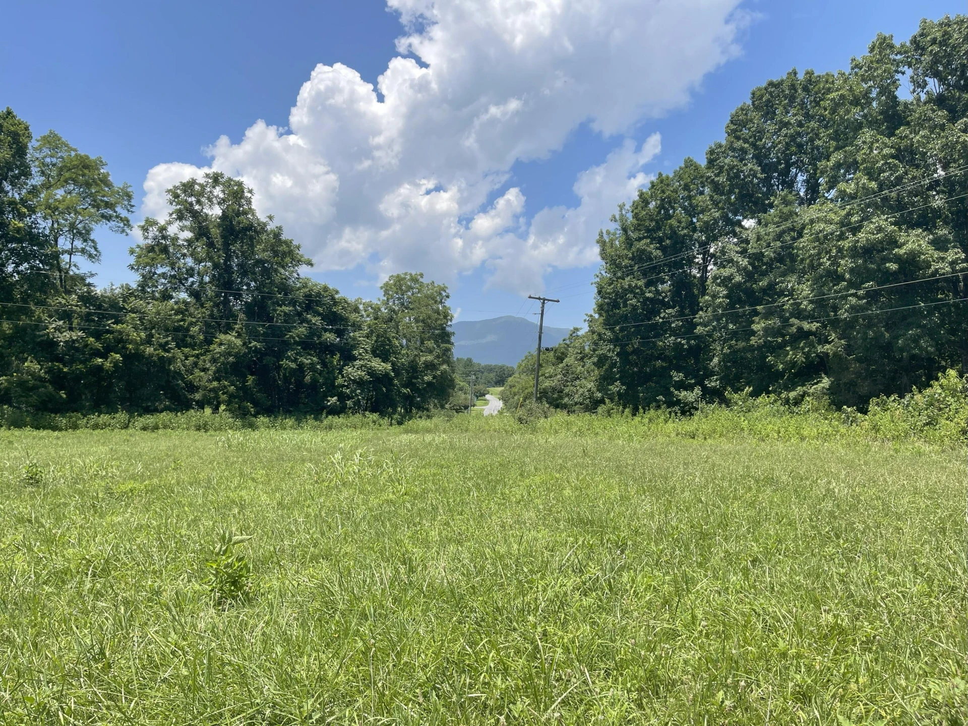 0 Forbes Mill RD - Photo 2