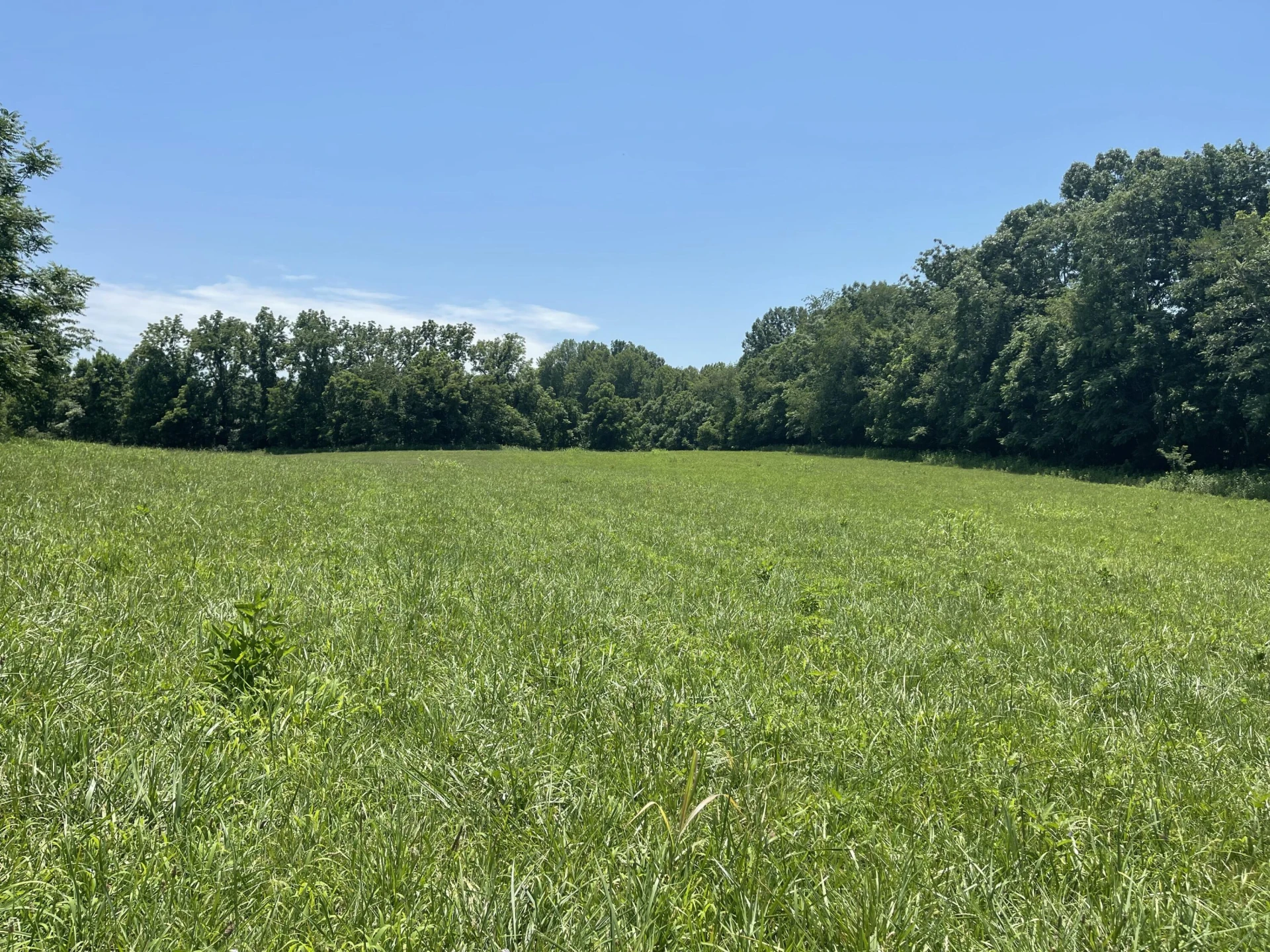 0 Forbes Mill RD - Photo 3