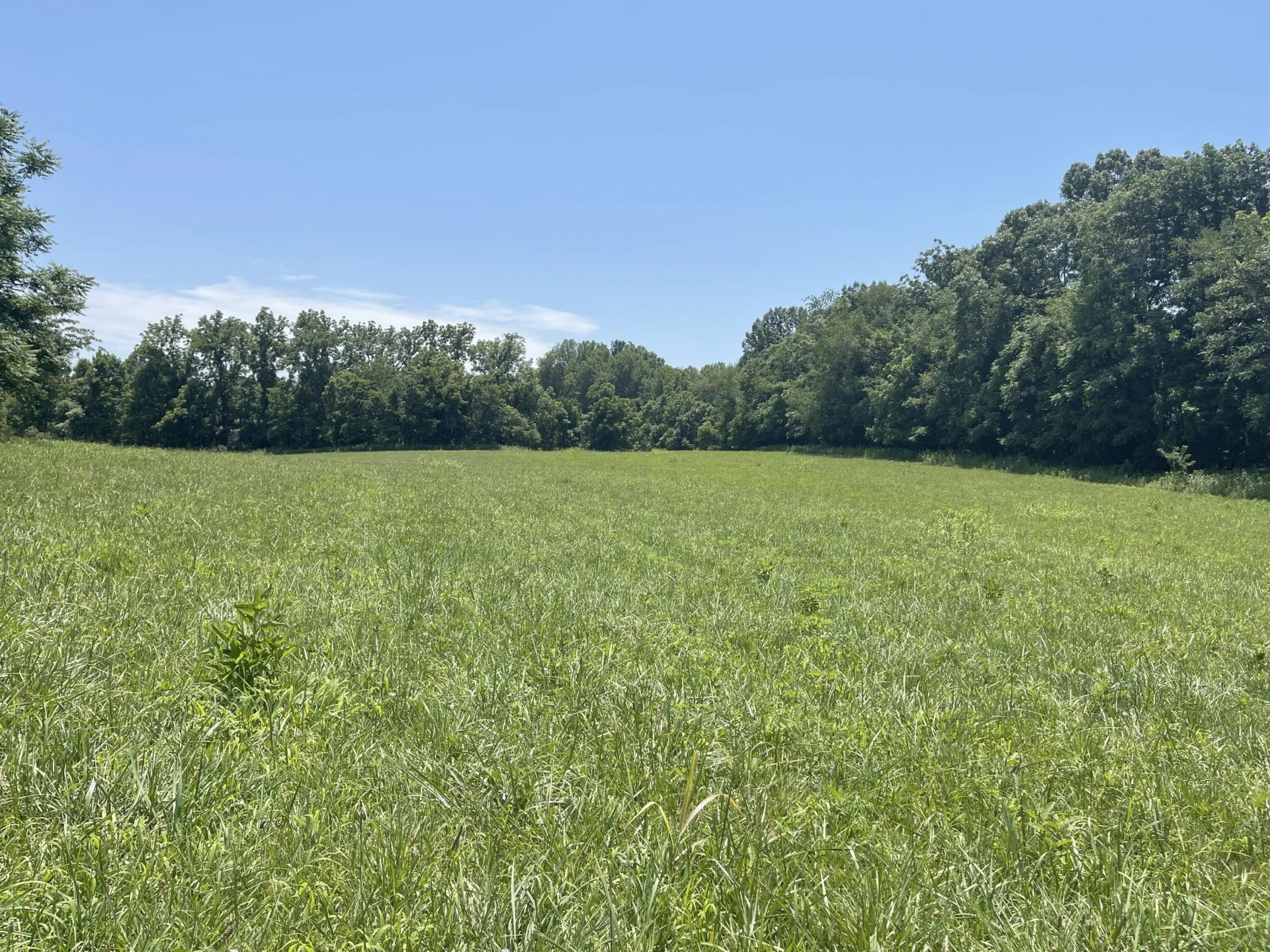 0 Forbes Mill RD - Photo 4