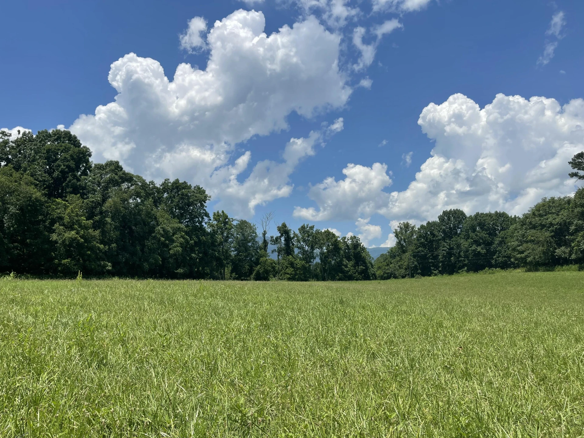 0 Forbes Mill RD - Photo 5