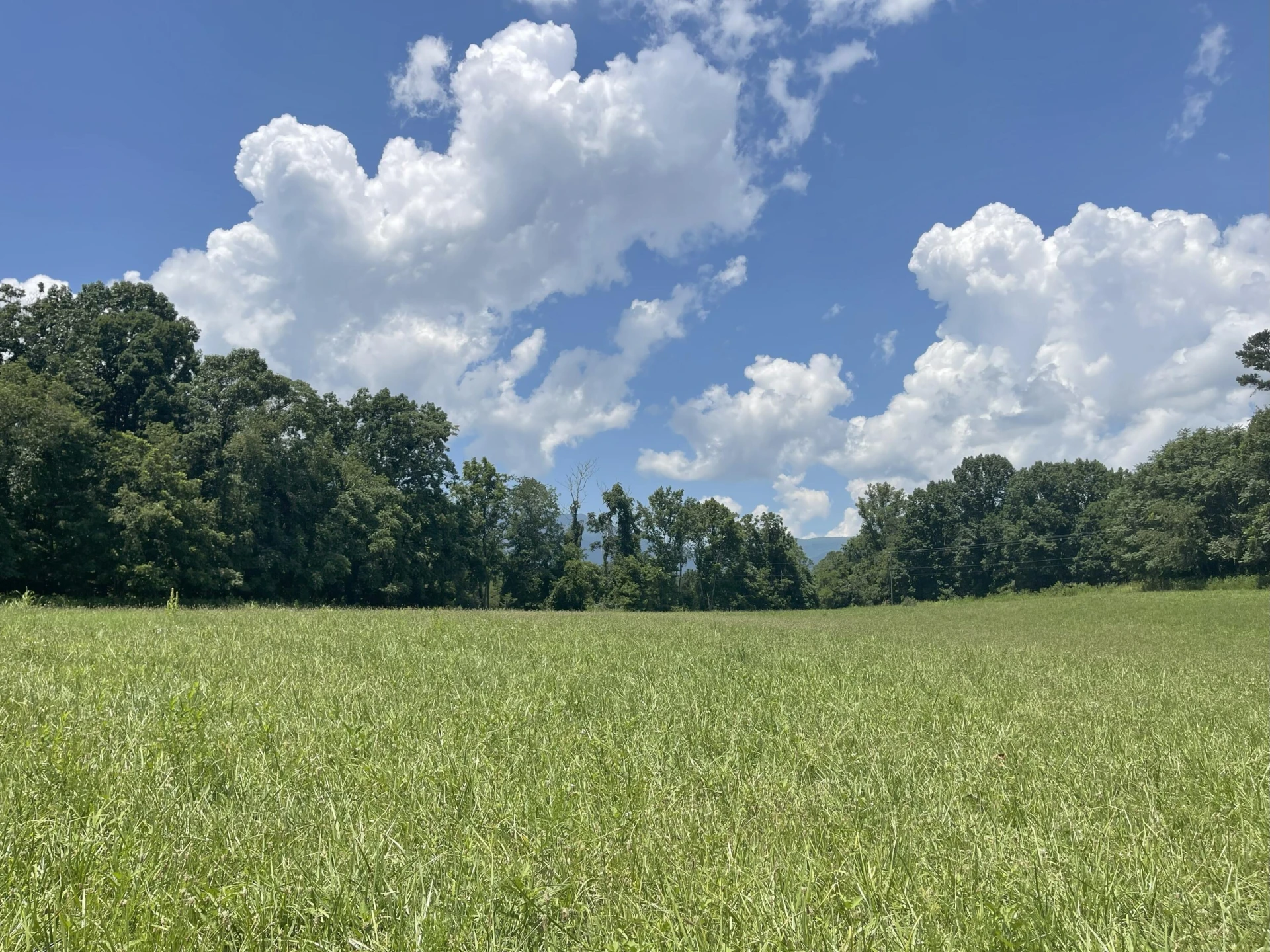 0 Forbes Mill RD - Photo 6