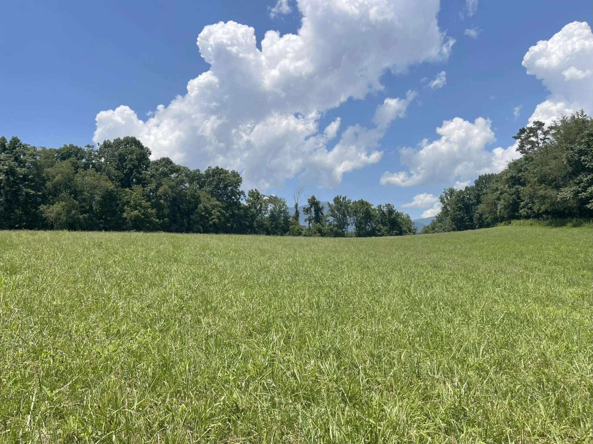 0 Forbes Mill RD - Photo 8