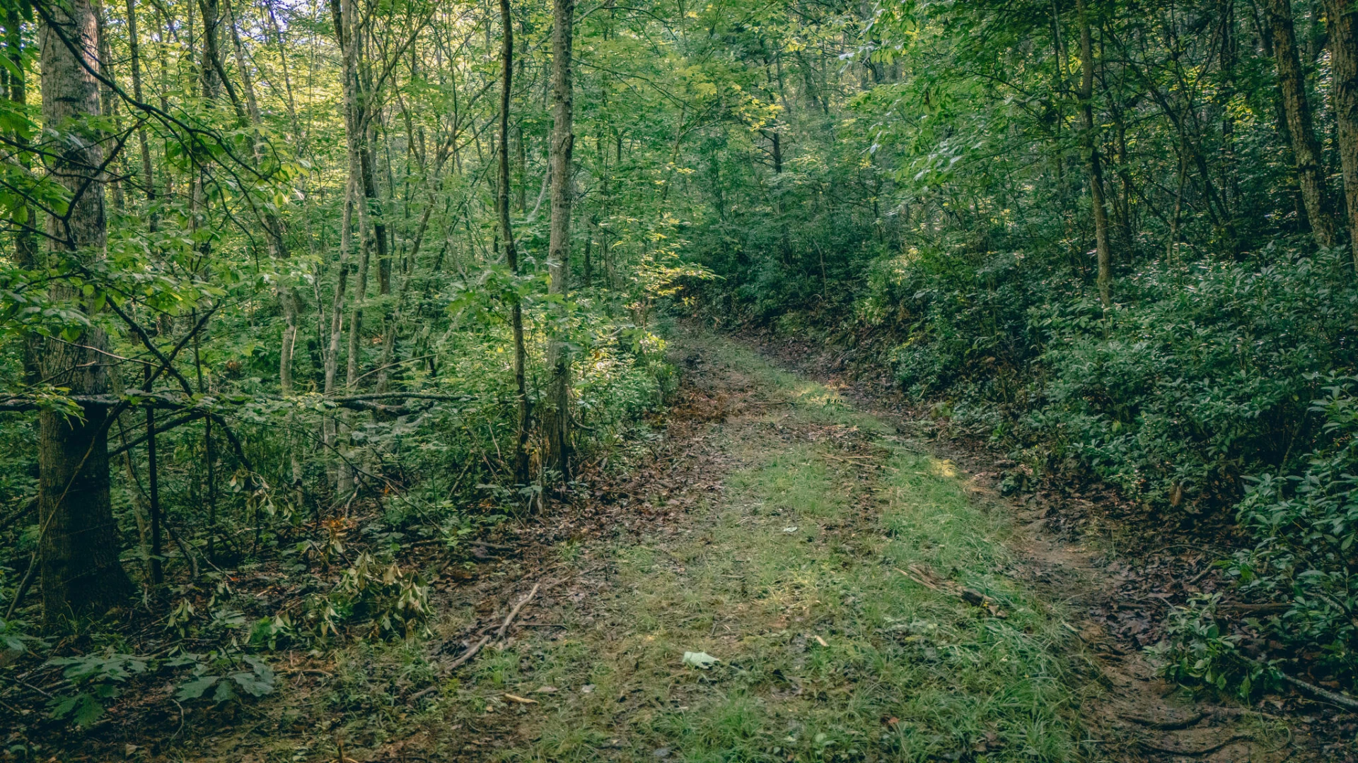 0 Buffalo RD - Photo 16