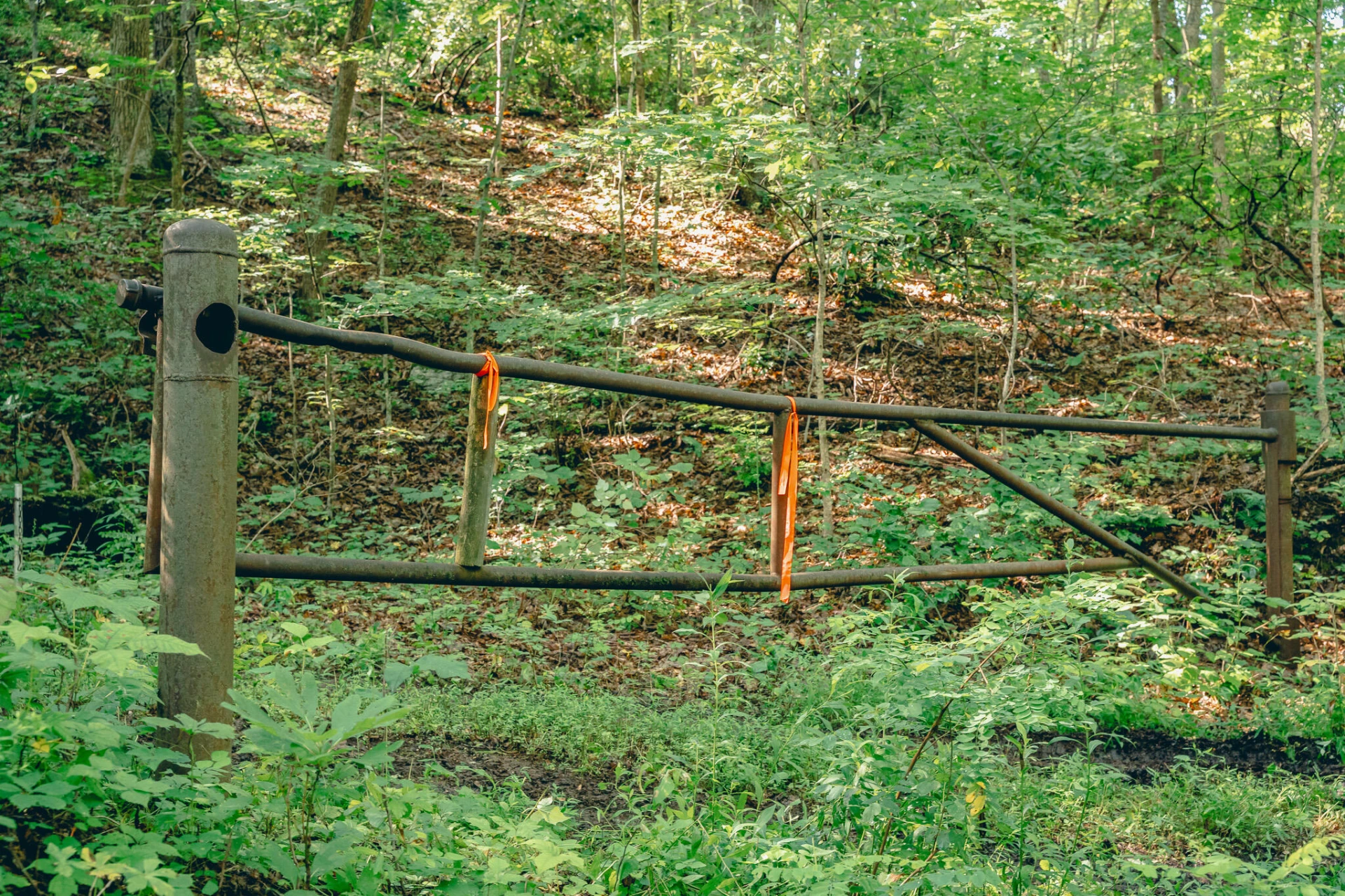 0 Buffalo RD - Photo 17