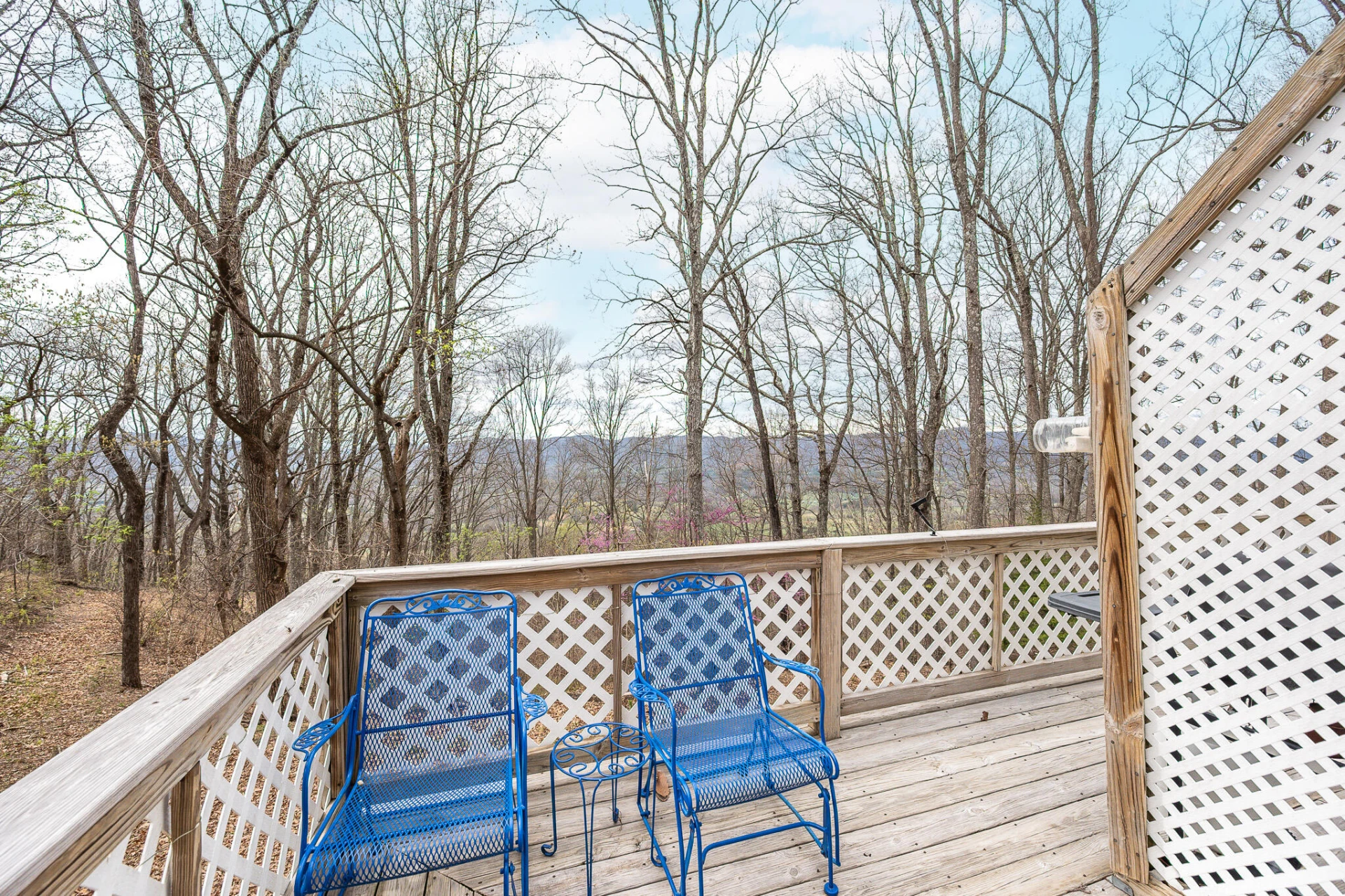4408 Murray Hollow RD - Photo 19