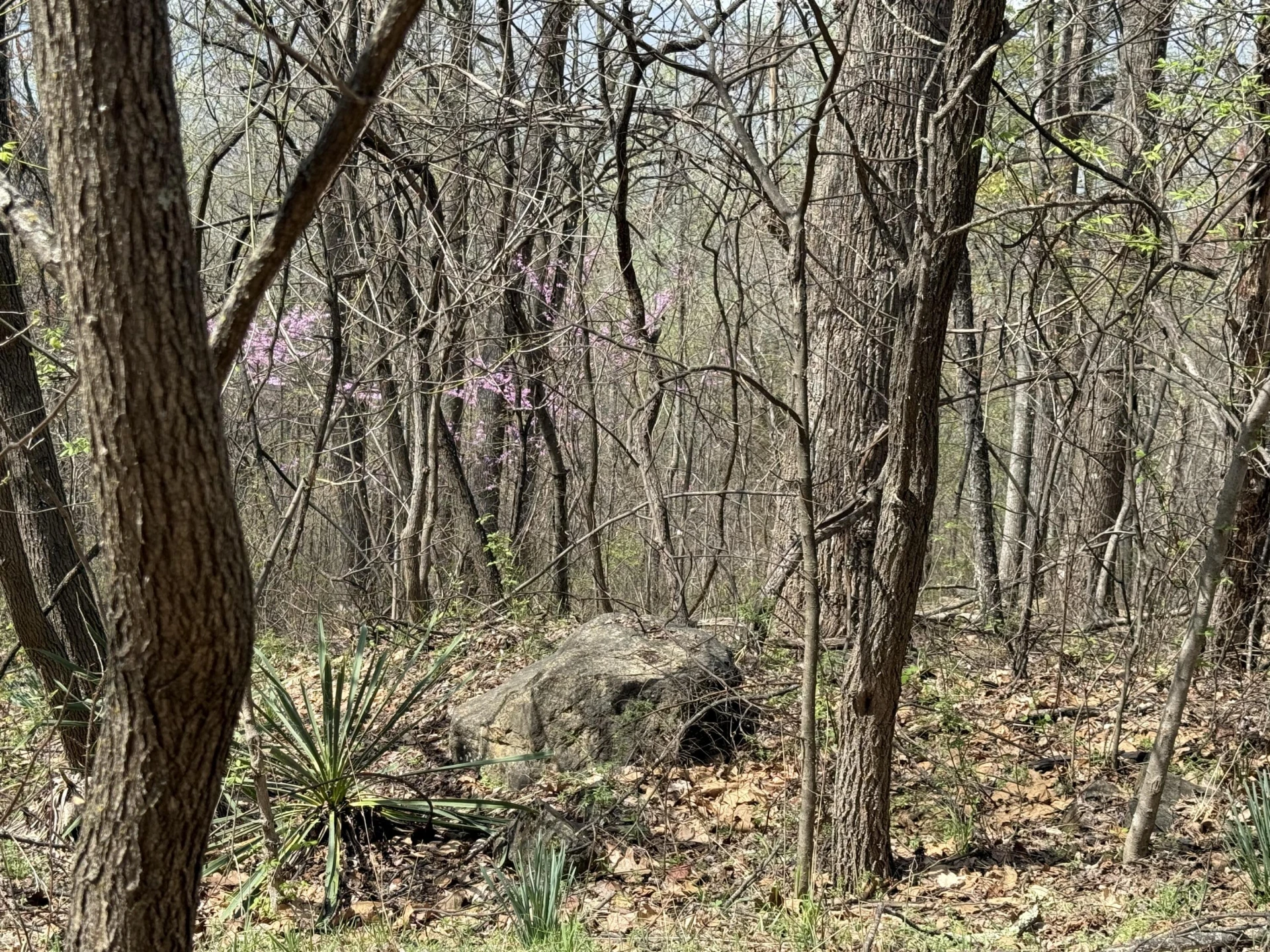 4408 Murray Hollow RD - Photo 26
