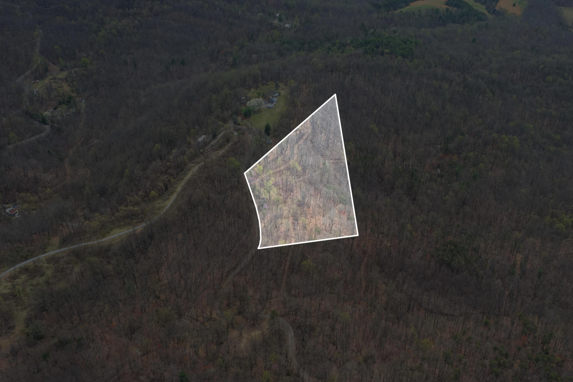 4408 Murray Hollow RD - Photo 28