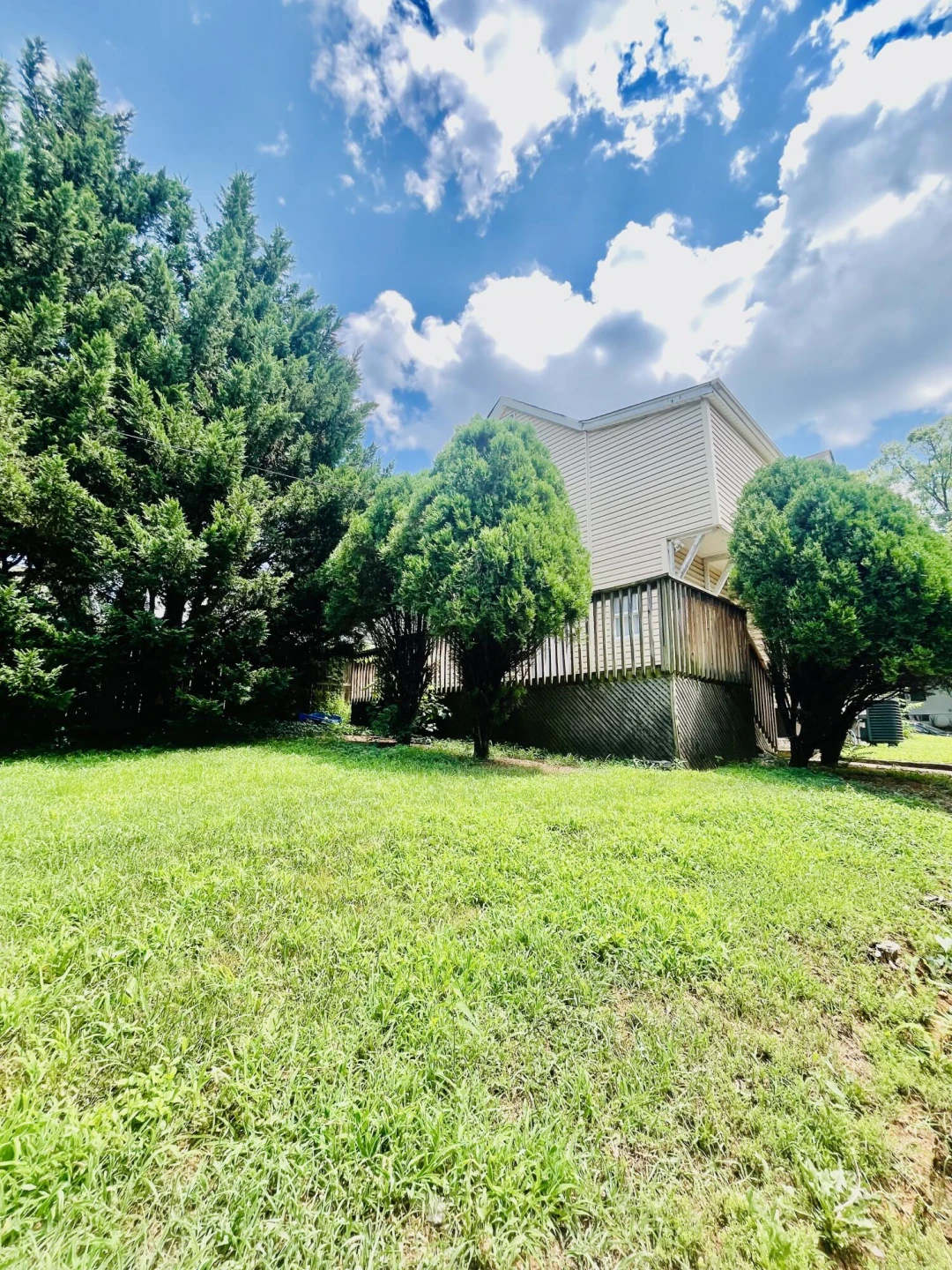 802 Mountain AVE - Photo 3