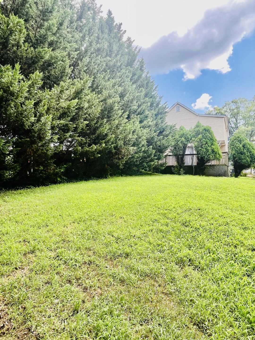802 Mountain AVE - Photo 4