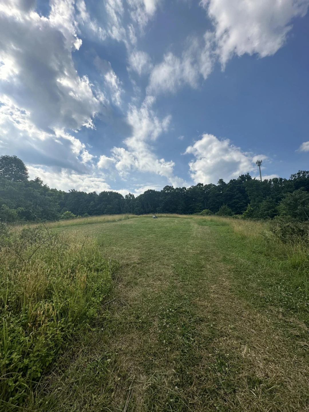 6290 Sky Ridge RD - Photo 3
