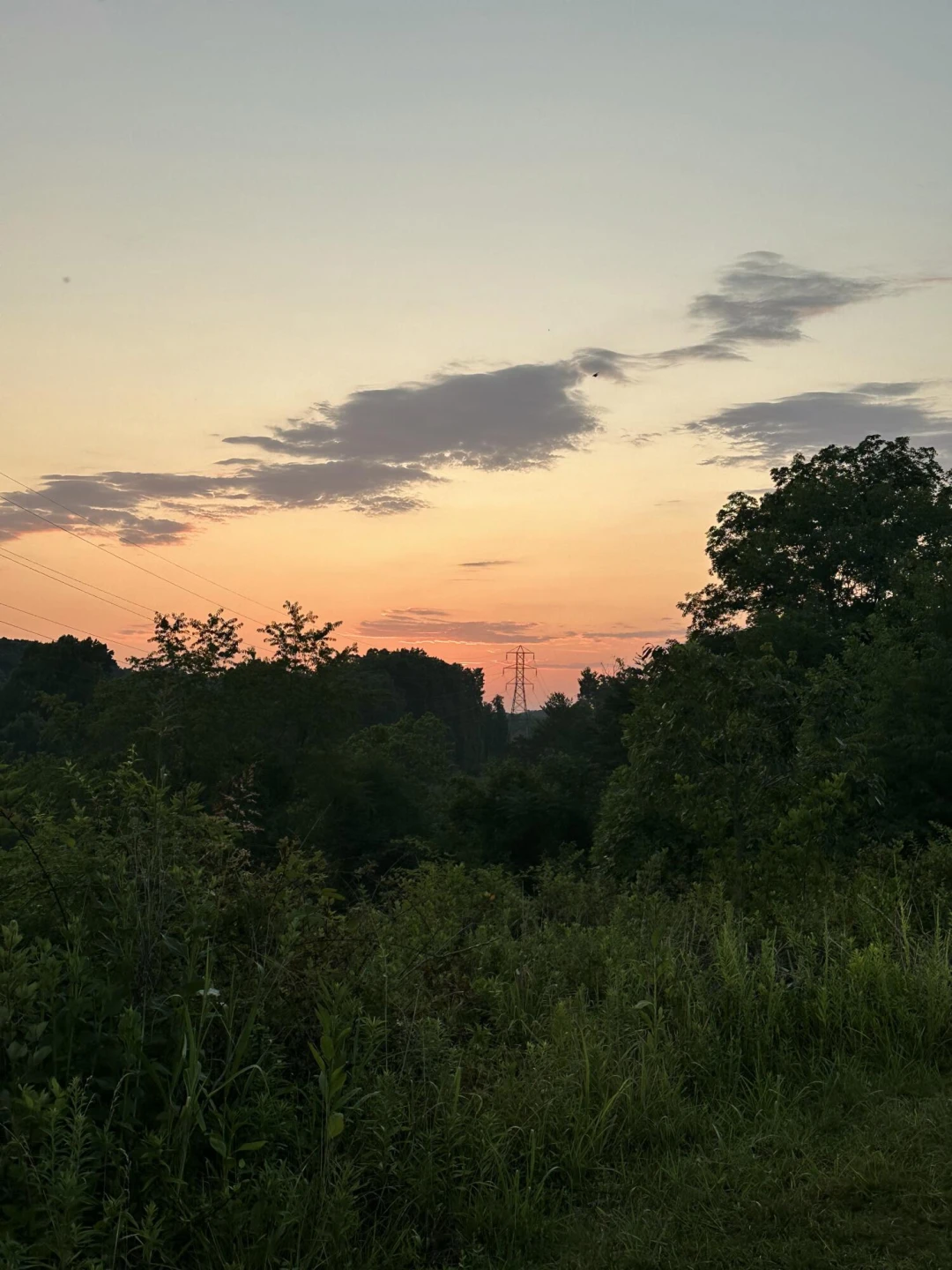 6290 Sky Ridge RD - Photo 4