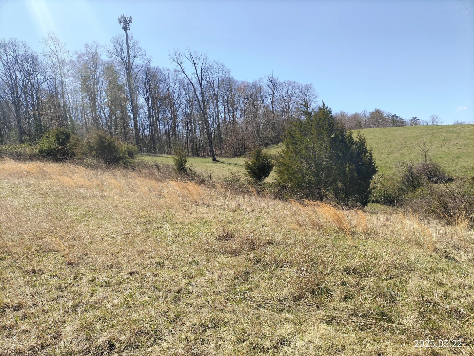 6290 Sky Ridge RD - Photo 6