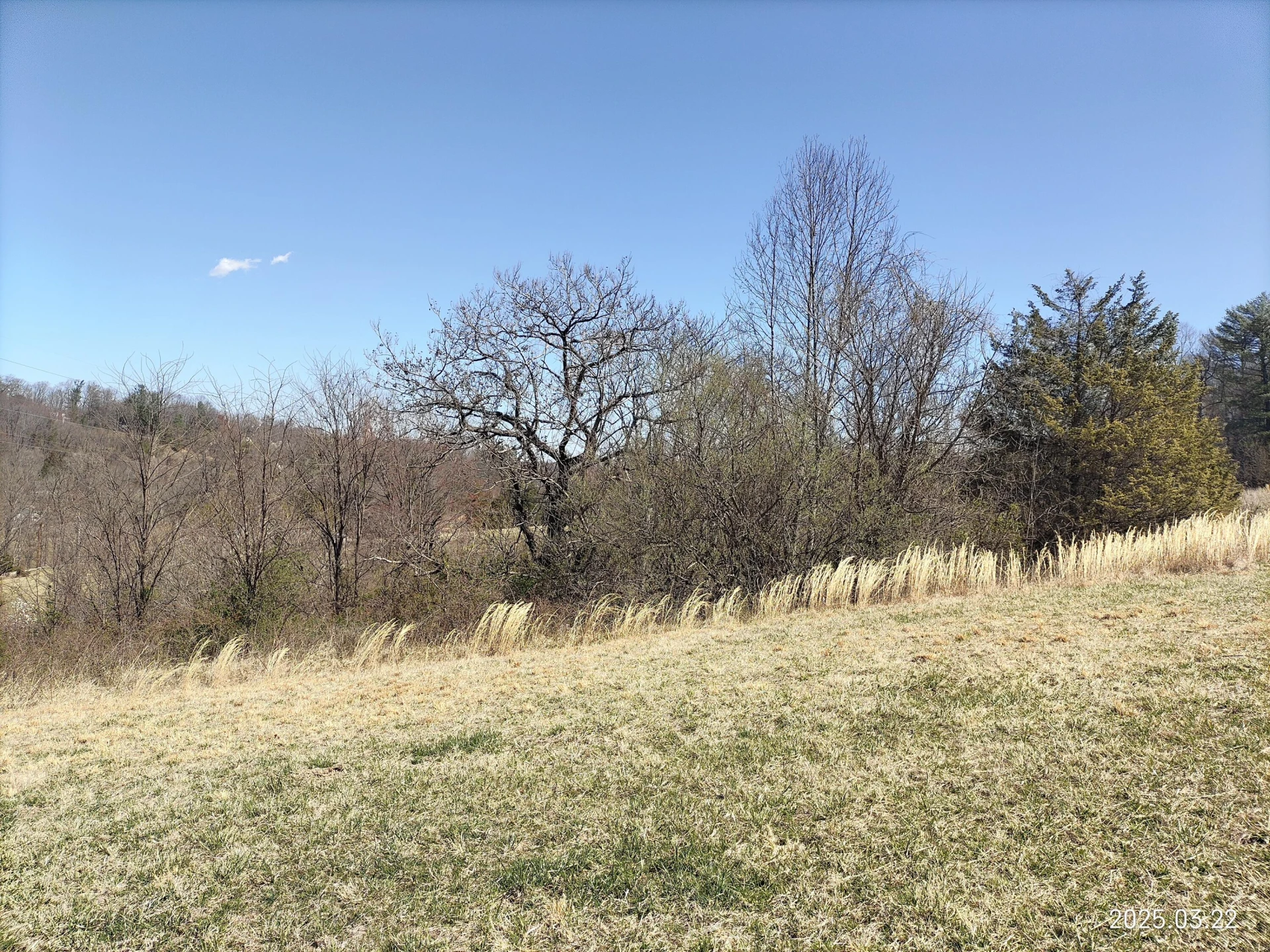 6290 Sky Ridge RD - Photo 7