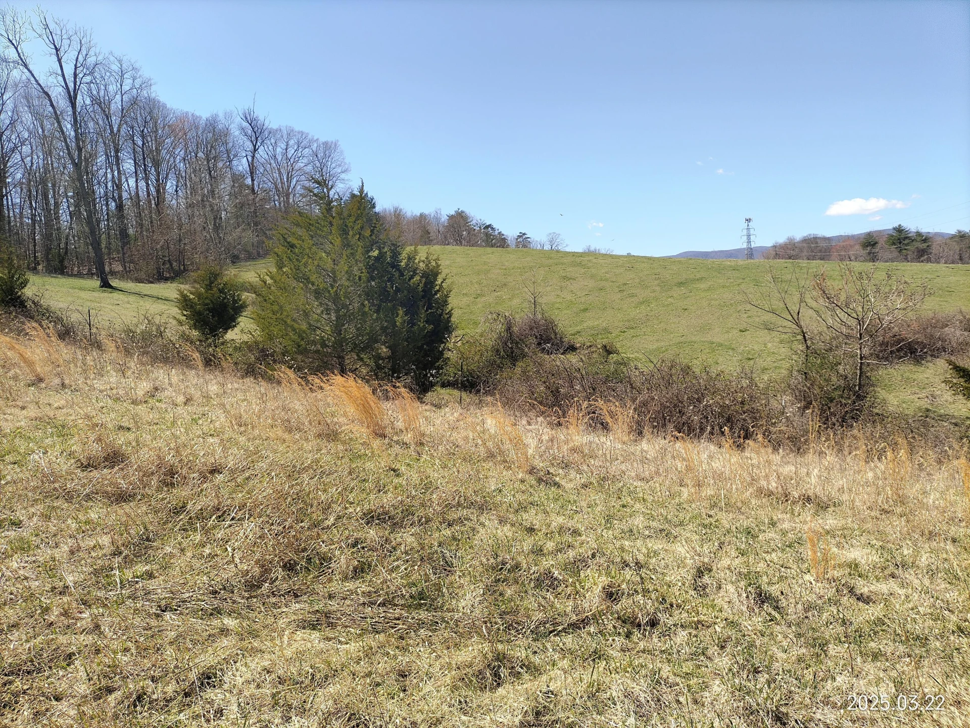 6290 Sky Ridge RD - Photo 8