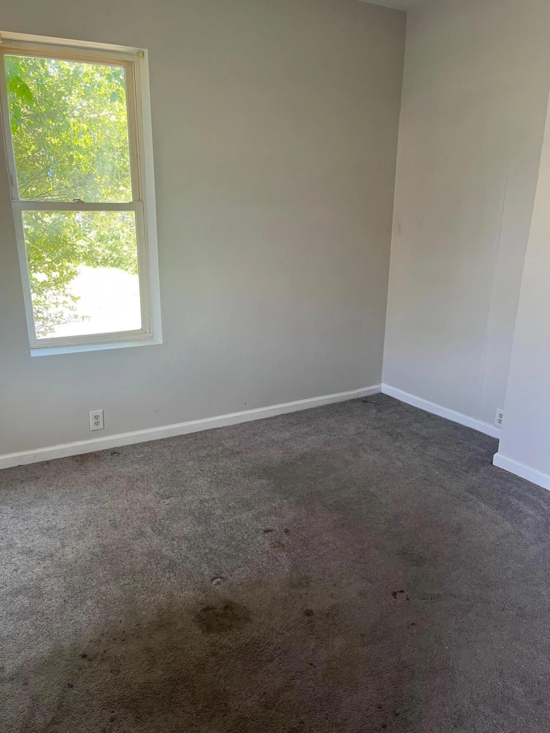 302 Patton AVE - Photo 16