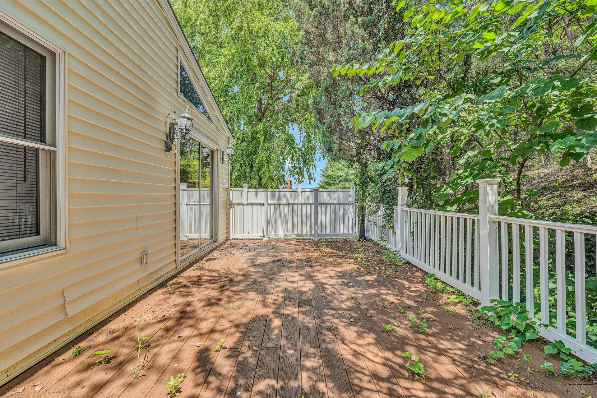 5224 Setter RD - Photo 27