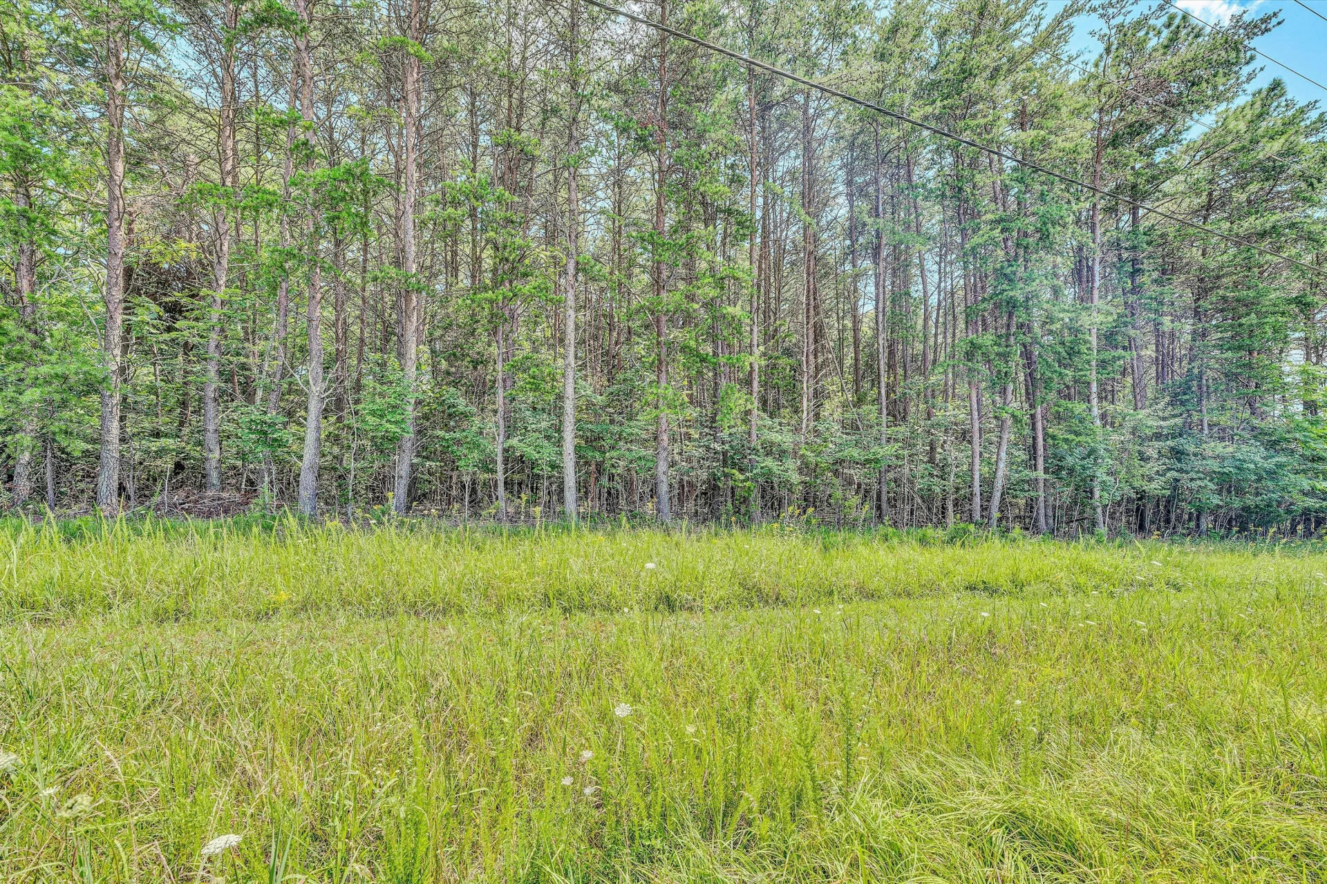Lot 1 Airport RD - Photo 7