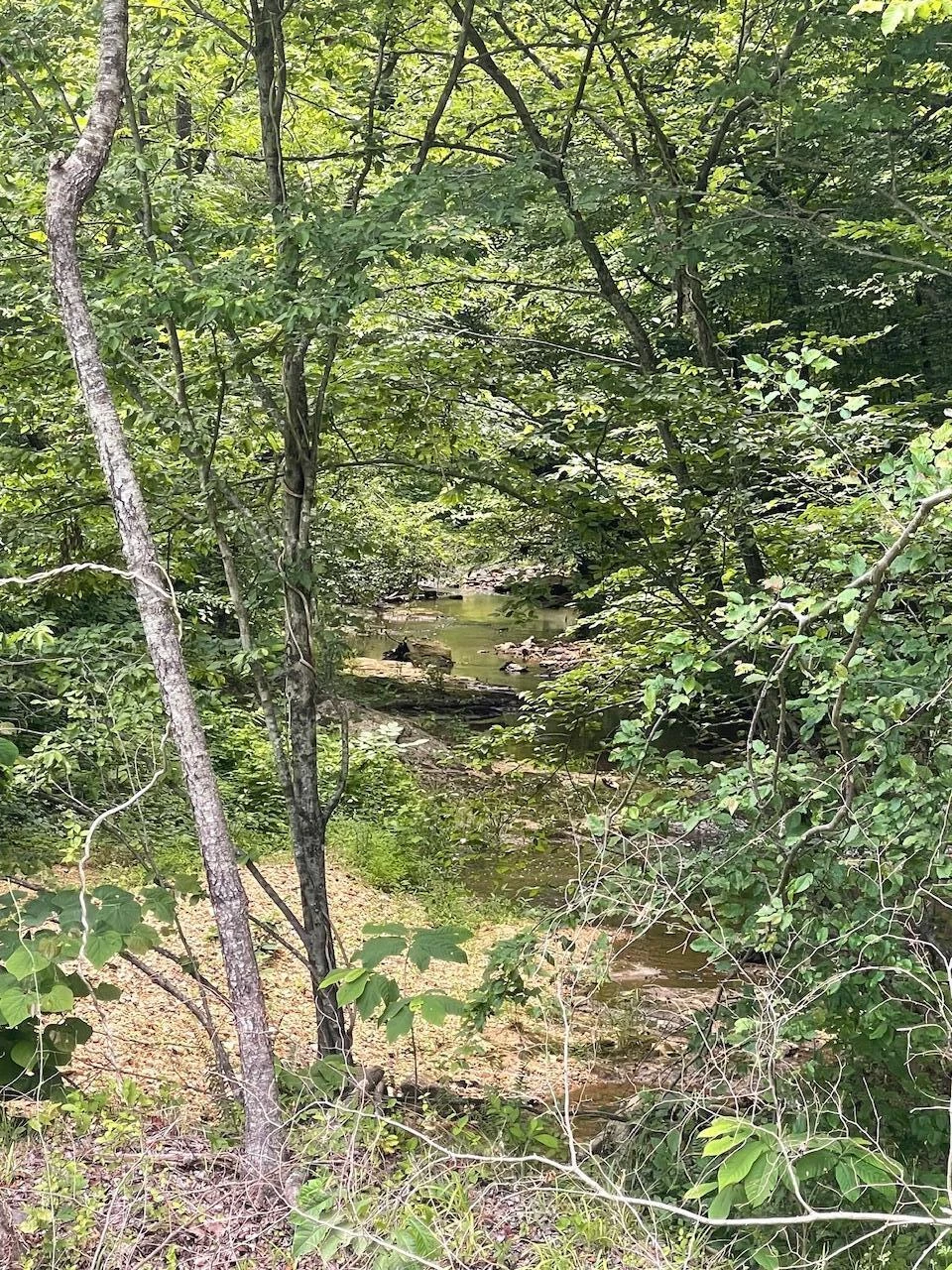 Tract B Gretna RD - Photo 11