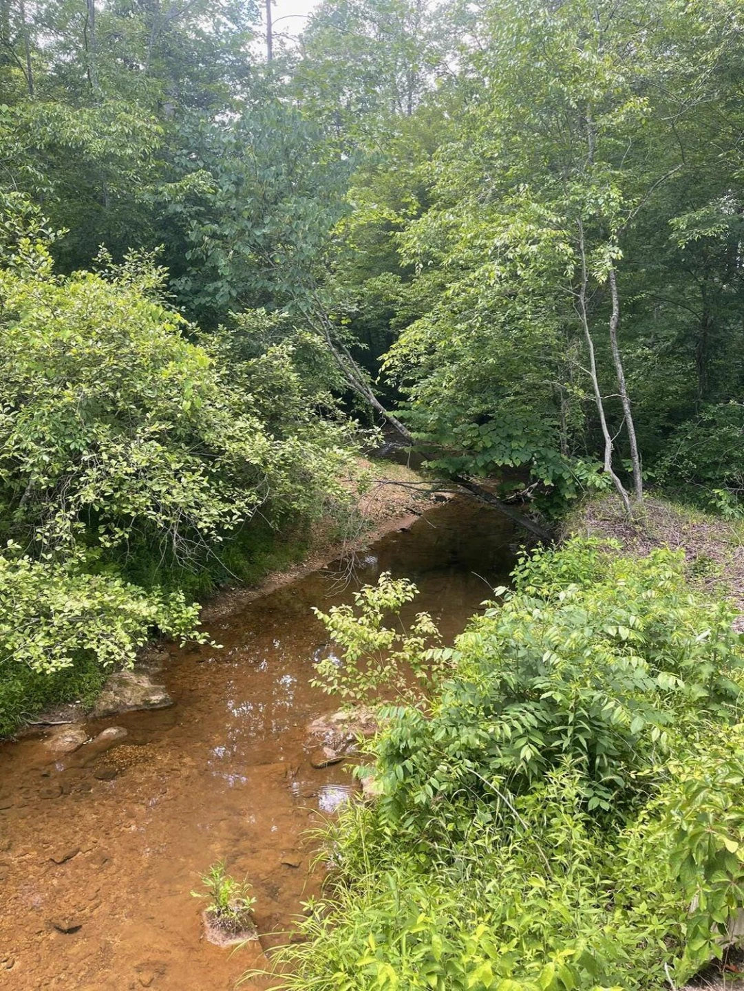 Tract B Gretna RD - Photo 12