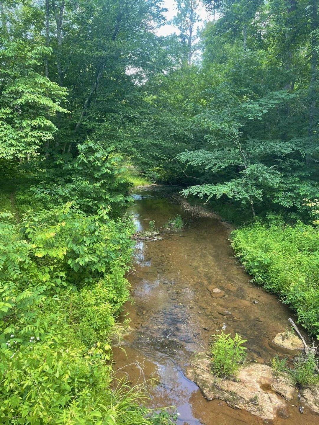 Tract B Gretna RD - Photo 13