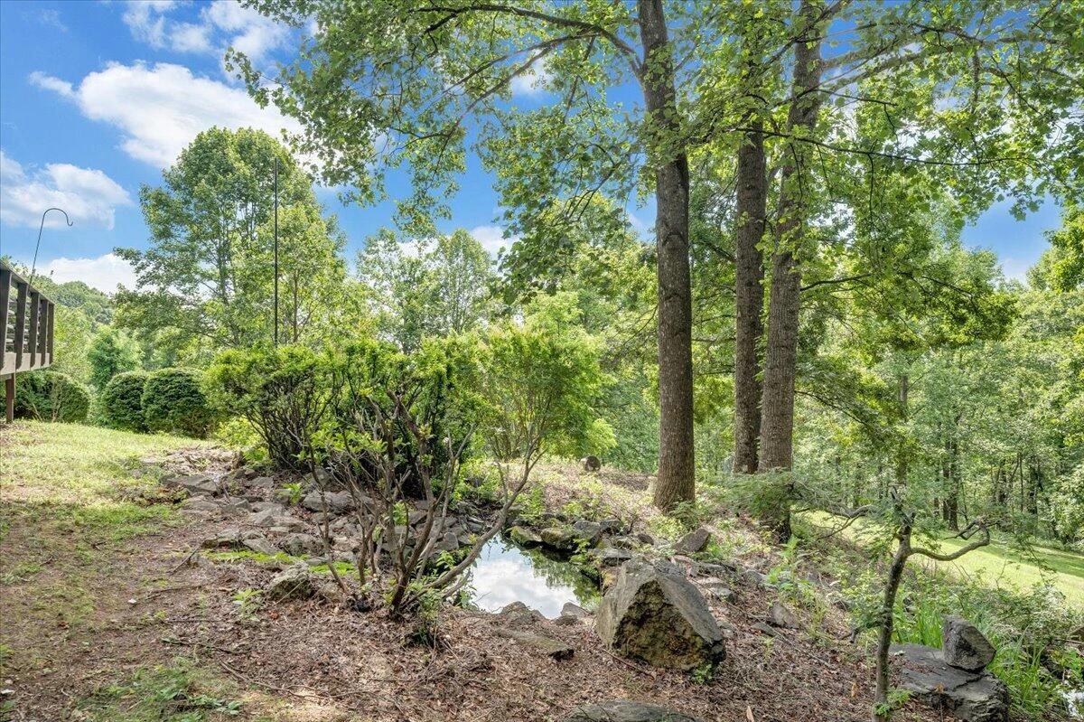 793 Meadow Branch RD - Photo 52