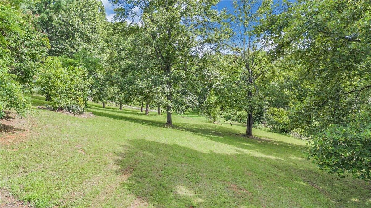 793 Meadow Branch RD - Photo 90