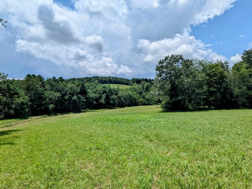 515 Windsor RD - Photo 25
