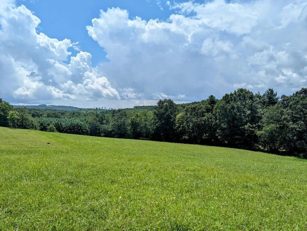 515 Windsor RD - Photo 26