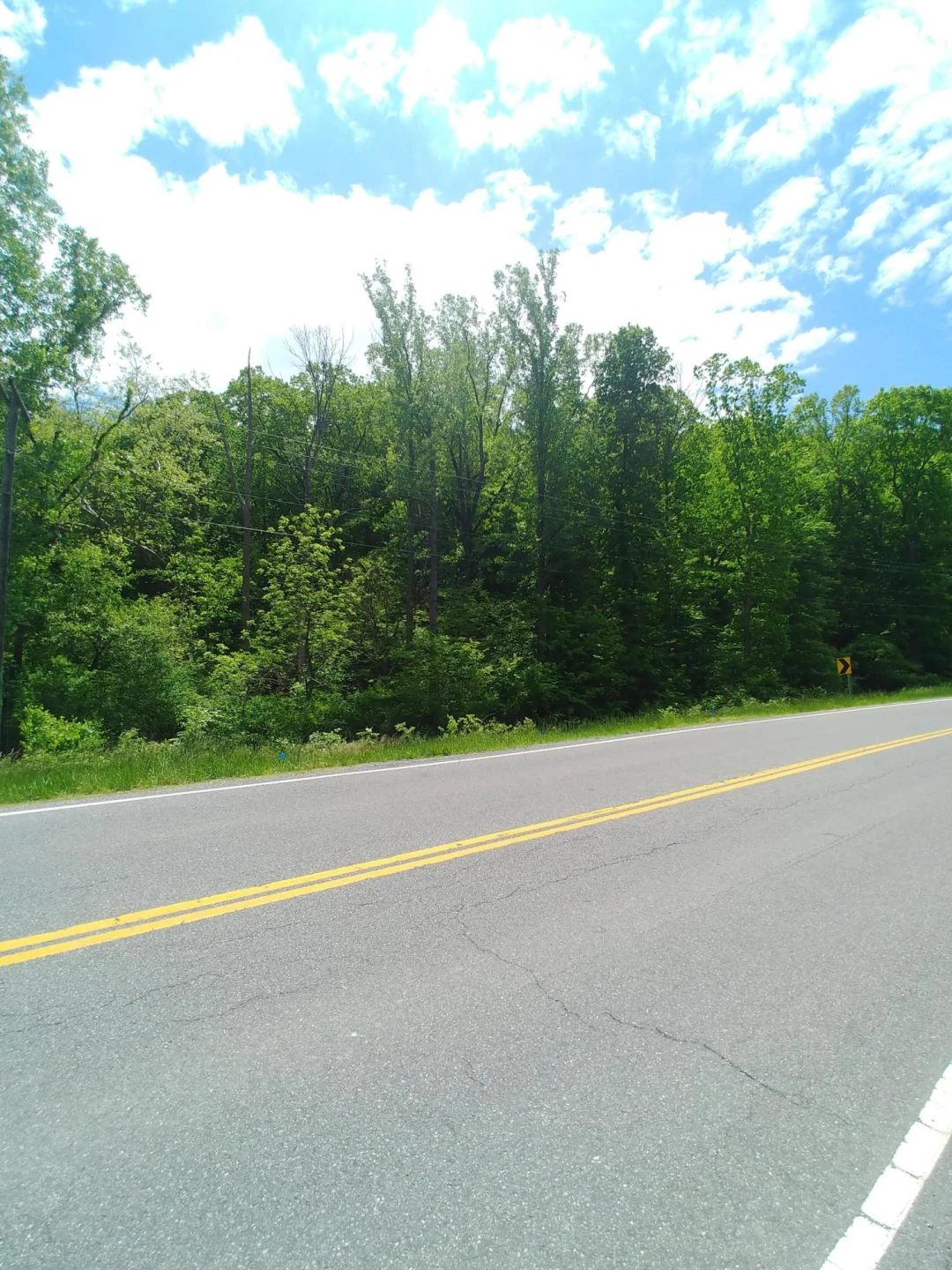 0 Thompson Memorial DR - Photo 2